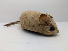 Taxidermy mouse made for sale  LANARK