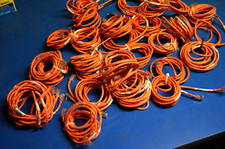 Lot orange cat for sale  Gainesville