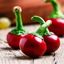 Lot graines piment d'occasion  Chazelles