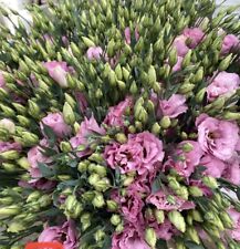 Fresh cut stems for sale  Oxnard
