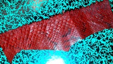 Serpent petit morceau d'occasion  Doyet