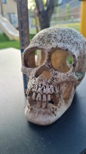 aquarium deko gebraucht kaufen aquarium deko gebraucht kaufen Bünde