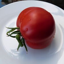 Tomate red butter gebraucht kaufen  Kehl