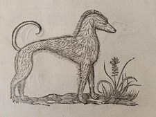 Aldrovandi 1663 grandi usato  Varano Borghi