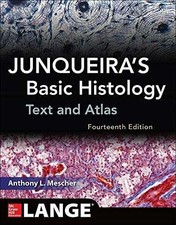Junqueira's Basic Histology: Text and - Paperback, by Mescher Anthony L. - Good comprar usado  Enviando para Brazil