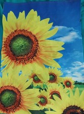 Vibrant sunflower garden for sale  Spring Hill