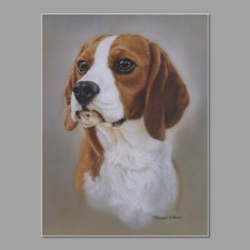 Beagle dog print for sale  SLEAFORD
