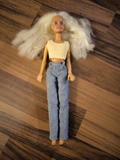 Vintage hasbro sindy gebraucht kaufen  Niederdorfelden