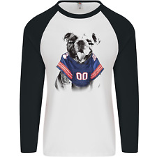 American football bulldog for sale  COVENTRY
