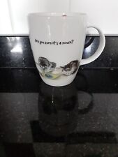 hudson middleton magnificent moggies for sale hudson middleton magnificent moggies for sale STEVENAGE