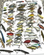 Crankbait bagley rebel for sale  Georgetown
