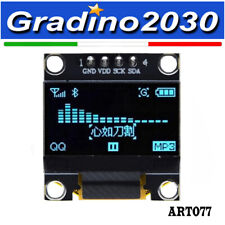 Modulo display oled usato  Grugliasco