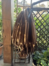 Pelli visone maschio usato Pelli visone maschio usato  Opera