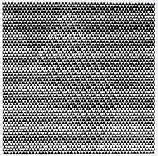 Tremor bridget riley for sale Tremor bridget riley for sale  BARNSLEY