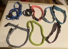 Konvolut hundehalsbänder leuc gebraucht kaufen  Teutschenthal