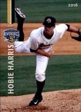 2016 charleston riverdogs for sale  Rockford