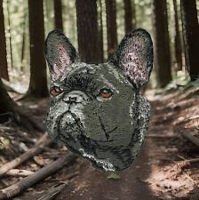 French bulldog dog for sale  Syosset