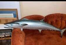 Kingfish two sided for sale  Clinton Township