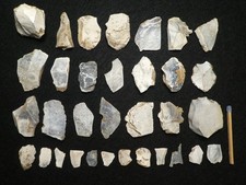 Collezione maddaleniana nucleo usato  Spedire a Italy
