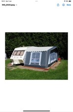 Isabella ambassador alpha for sale  MANCHESTER