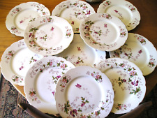 Porcelaine limoges assiettes d'occasion  Adriers