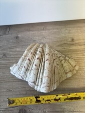 Reduced clam ll for sale  COVENTRY