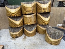 Giant sumac natural for sale  Dorset