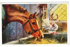 Mabel gear animal for sale  LIPHOOK