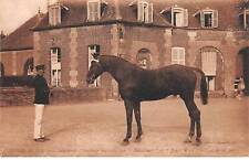Haras pin san30798 d'occasion  Expédié en Belgium