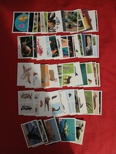 Lot images panini d'occasion  Nazelles-Négron
