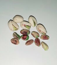 Pistacho , Pistachero   Pistacia vera   15  semillas seeds , usado comprar usado  Enviando para Brazil