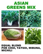 250 asain greens for sale  Berwyn