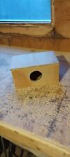 Budgie chick hide for sale  TONYPANDY