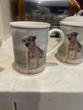 Boarder terrier fine for sale  NEWTOWNABBEY