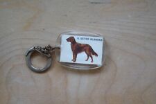 Irish setter dog d'occasion  Expédié en Belgium