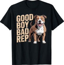 Good boy bad for sale  Punta Gorda