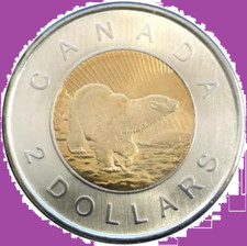 2006 Canada Churchill Polar Bear Two Dollar Coin Toonie.  UNC. $2 Mint Toon, używany na sprzedaż  Wysyłka do Poland