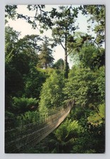 Postcard jungle rope for sale  DERBY