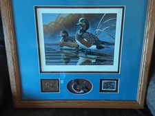 Pa. 2004 ducks for sale  Pottstown