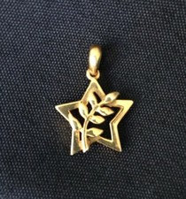 Pendentif acacia doré d'occasion  Tourcoing