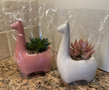 Tenforie alpaca themed for sale  Sandy
