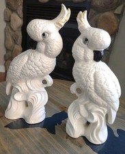 cockatiel pair for sale  Attica
