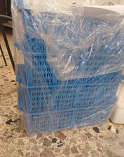 Cestelli blu per usato  Palermo