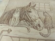 Equine horse cat for sale  Hollywood