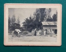 Antique africa photo d'occasion  Expédié en Belgium