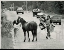 1989 Zdjęcie prasowe Kelly Cooke i Pat Cooke z donice Morgan Horse na trasie 202 na sprzedaż  Wysyłka do Poland