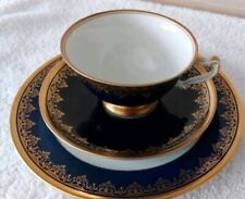 Sammeltasse selb heinrich gebraucht kaufen  Landau a.d.Isar