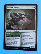 Colossal badger dig for sale  WREXHAM