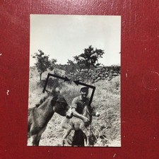 Sumureddu carbonia campagna usato Sumureddu carbonia campagna usato  Sessa Aurunca