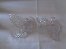 Two turtle dove for sale  BARNSLEY